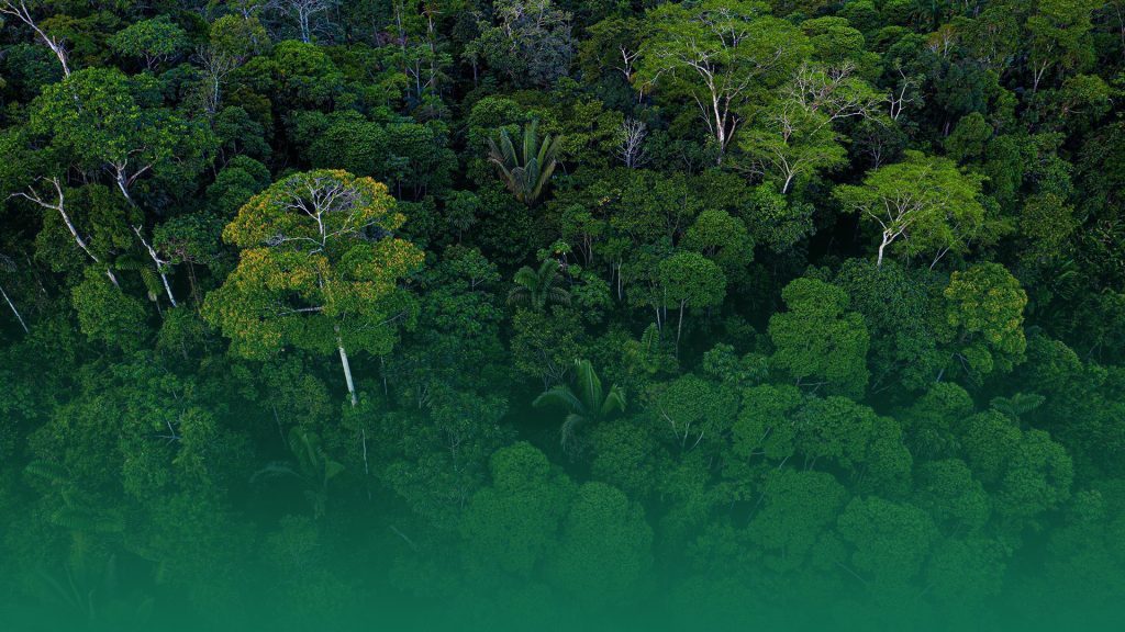 Sustainability 2 bannersss17