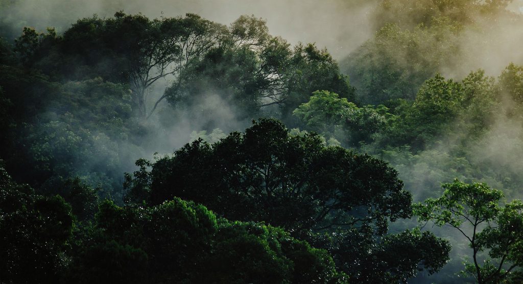 sustainability down 2